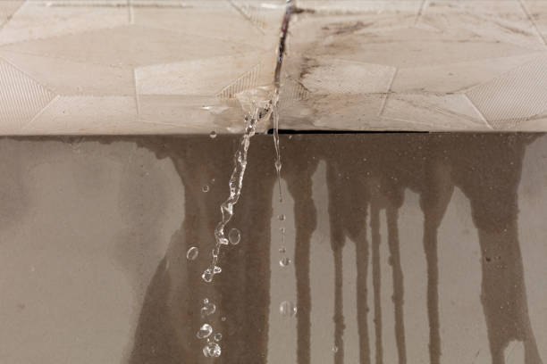 Professional Burst Pipe Cleanup technician working in Frankenmuth, MI